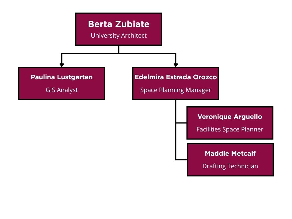 Org Chart